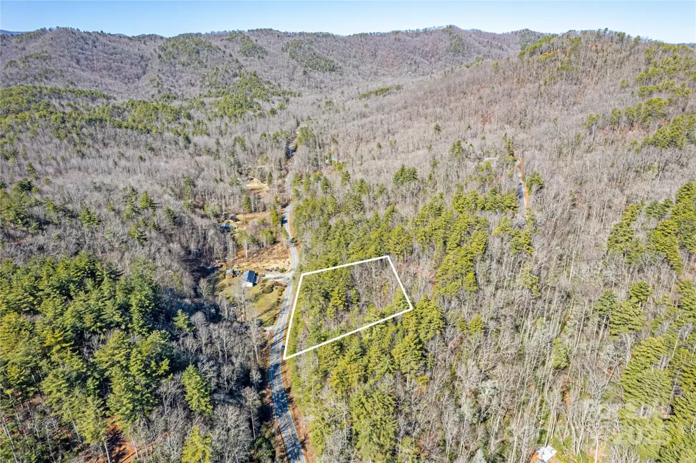 TBD Frozen Creek #34 Brevard, NC 28712