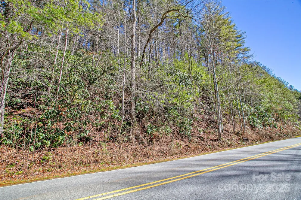TBD Frozen Creek #34 Brevard, NC 28712