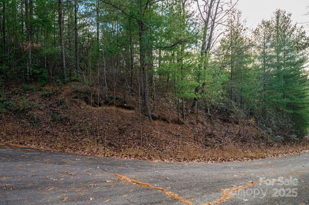 3129 Mountain Laurel Drive Lenoir, NC 28645