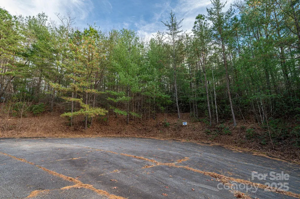 3129 Mountain Laurel Drive Lenoir, NC 28645