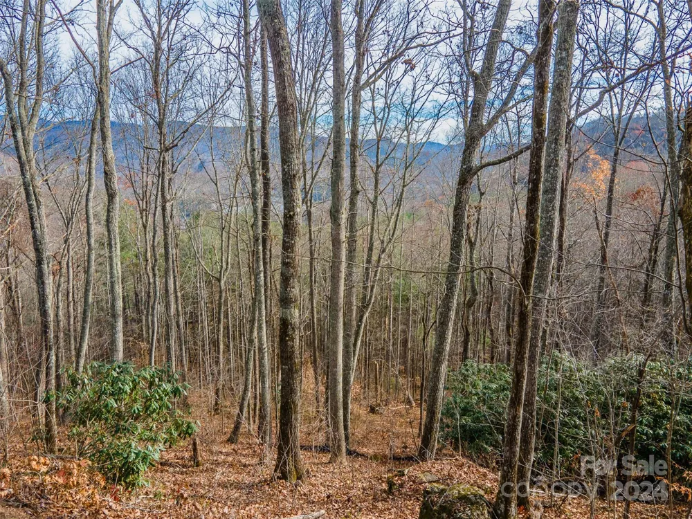 520 Morningside Drive #51 Tuckasegee, NC 28783