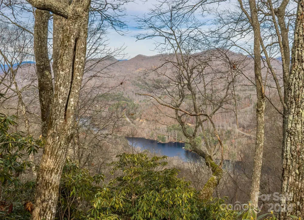 520 Morningside Drive #51 Tuckasegee, NC 28783