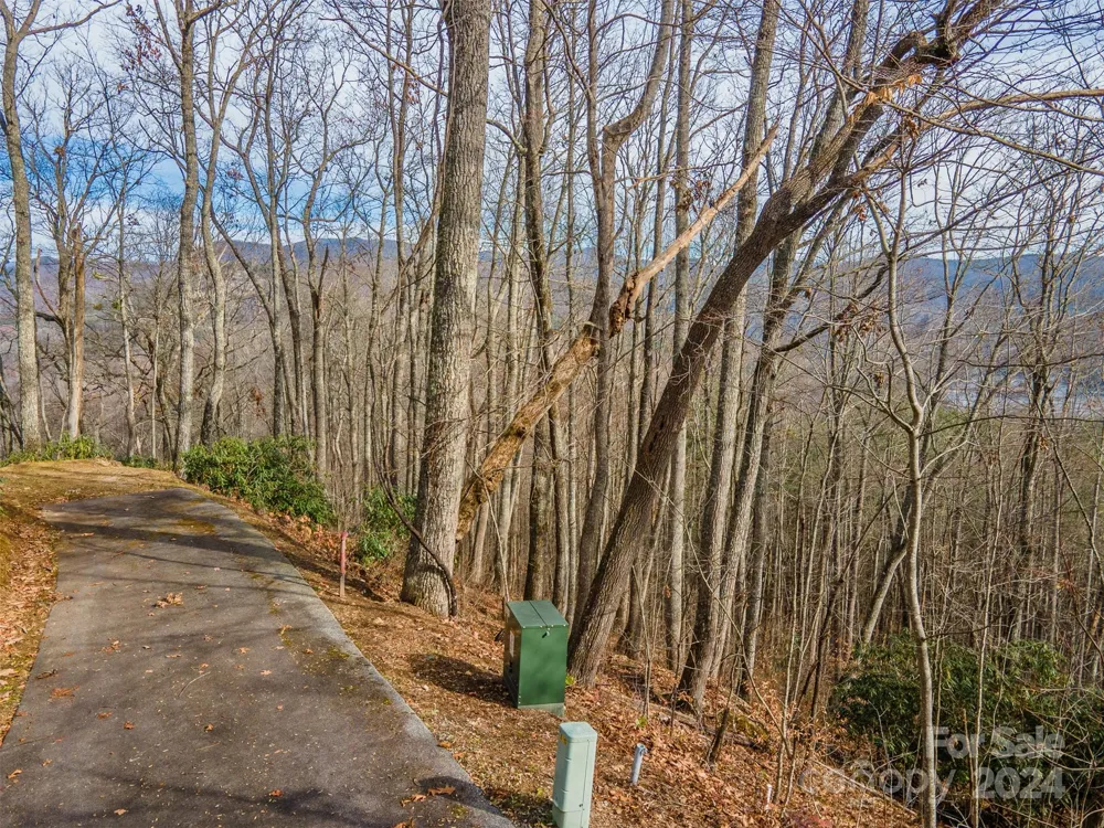 520 Morningside Drive #51 Tuckasegee, NC 28783