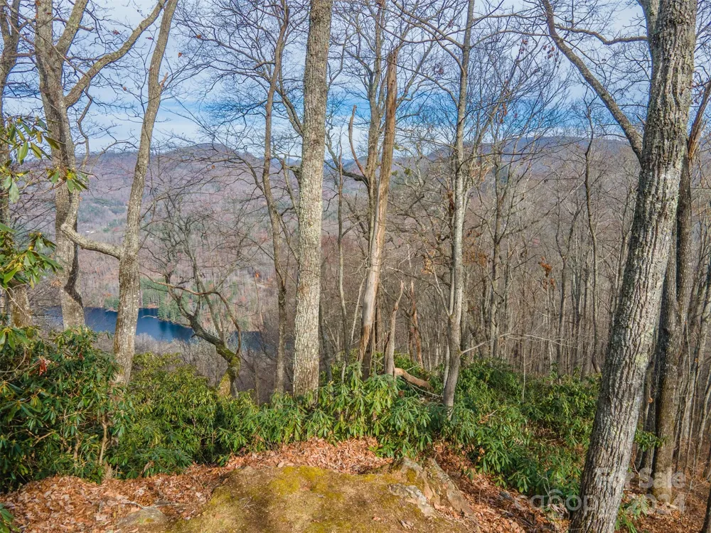 520 Morningside Drive #51 Tuckasegee, NC 28783