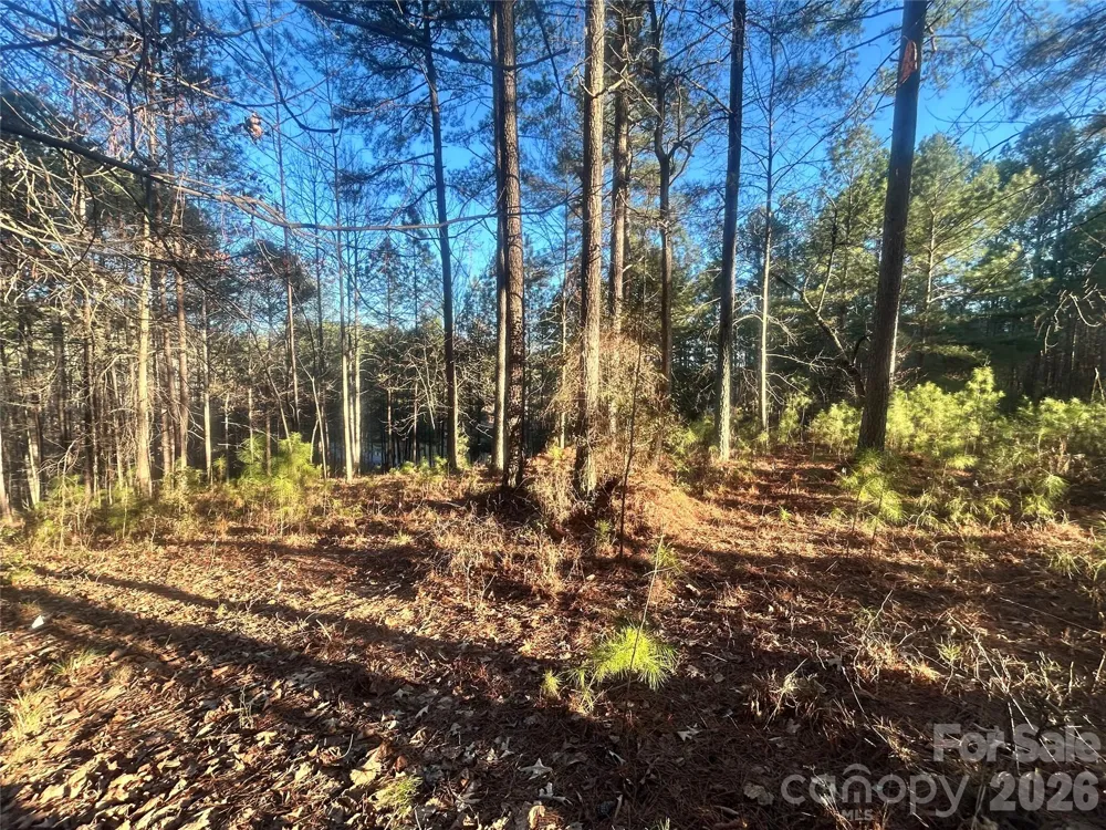5501 Bridgewater Drive Granite Falls, NC 28630