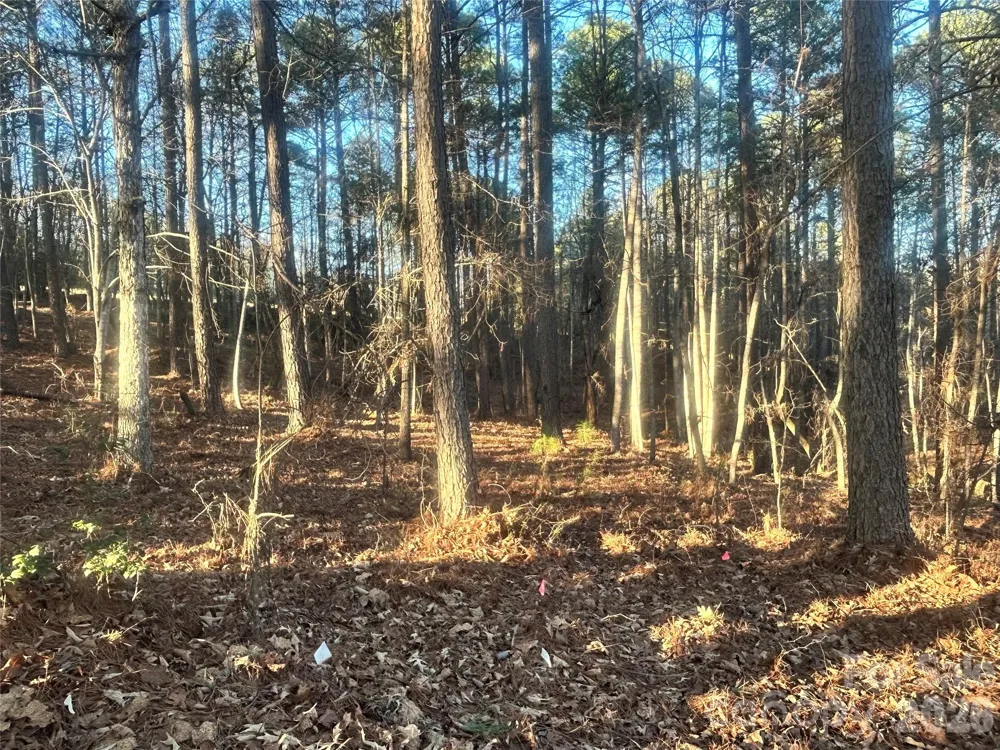 5501 Bridgewater Drive Granite Falls, NC 28630