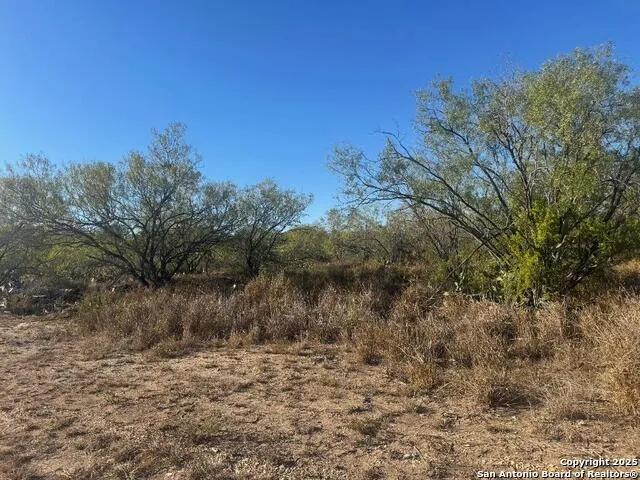 LOTS 2453-2455 Ave. J Christine, TX 78012