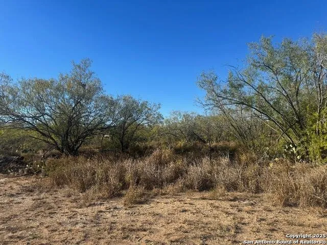 LOTS 2453-2455 Ave. J Christine, TX 78012