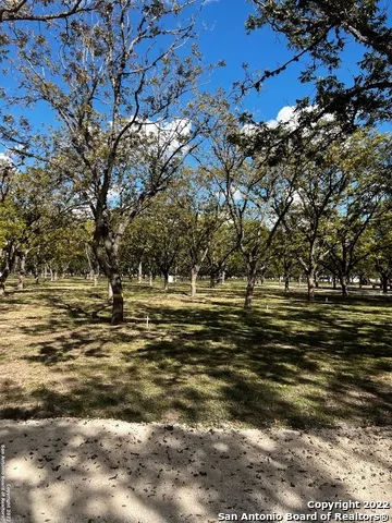 440 Red Wright Rd Leakey, TX 78873