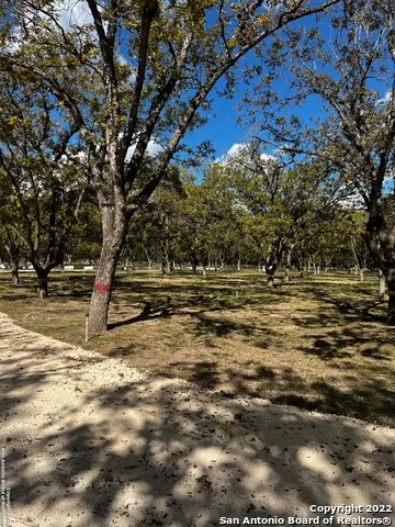 440 Red Wright Rd Leakey, TX 78873