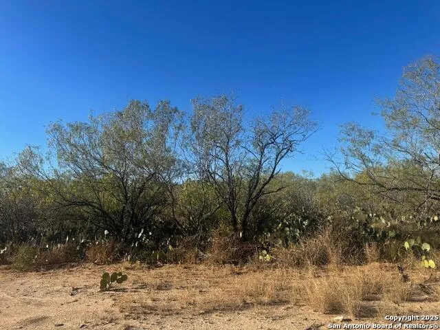 LOTS 2451-2452 Ave. J Christine, TX 78012