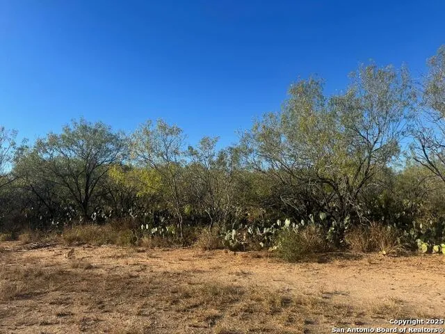 LOTS 2451-2452 Ave. J Christine, TX 78012