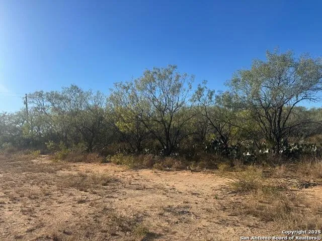 LOTS 2451-2452 Ave. J Christine, TX 78012