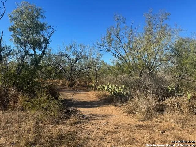 LOTS 2456-2458 Ave. J Christine, TX 78012