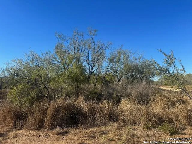 LOTS 2456-2458 Ave. J Christine, TX 78012