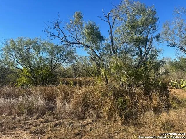 LOTS 2456-2458 Ave. J Christine, TX 78012