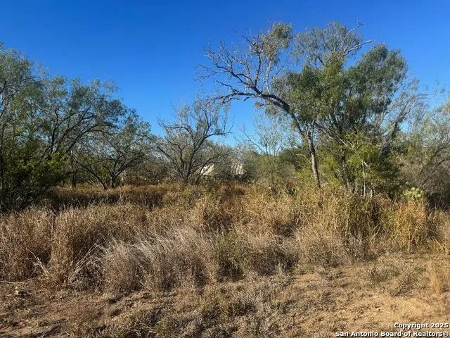 LOTS 2456-2458 Ave. J Christine, TX 78012