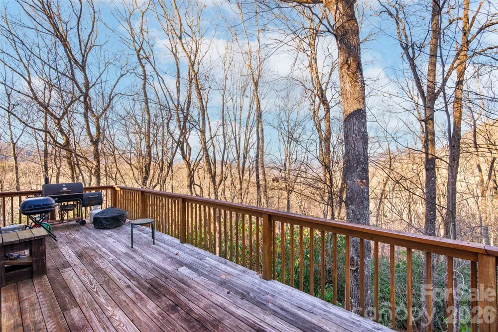 194 Ridgeview Drive Whittier, NC 28789
