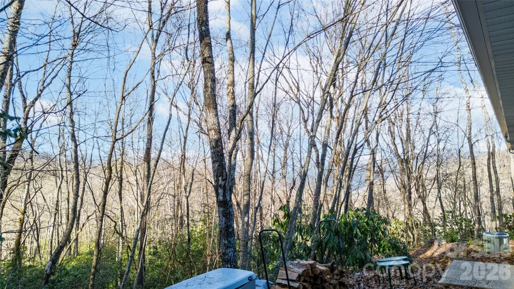 194 Ridgeview Drive Whittier, NC 28789