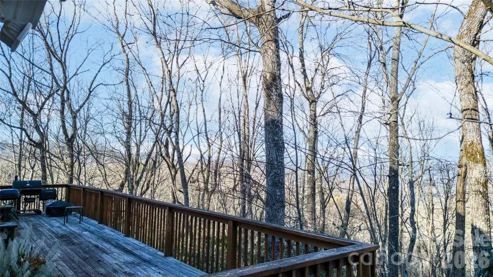 194 Ridgeview Drive Whittier, NC 28789