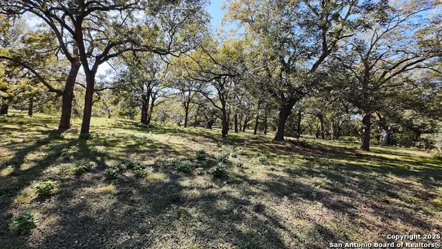 10485 Fm 466 Seguin, TX 78155