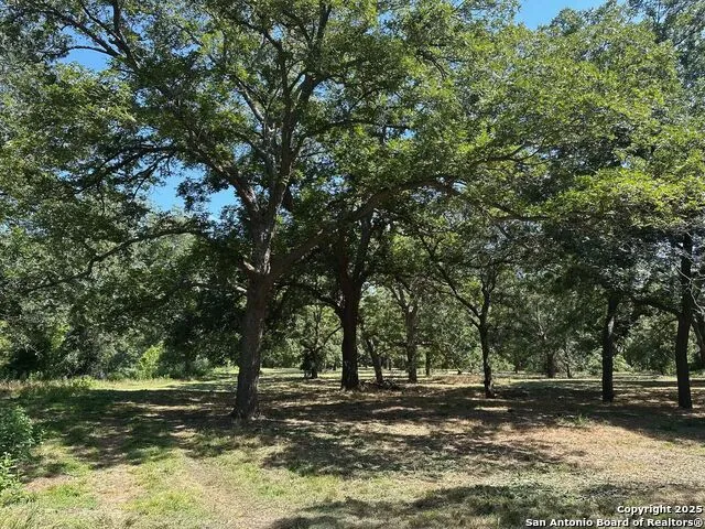 10485 Fm 466 Seguin, TX 78155