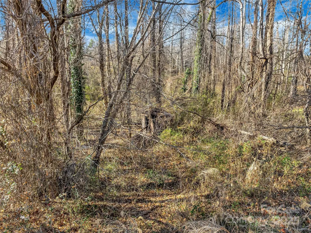 283 Ozone Drive Saluda, NC 28773