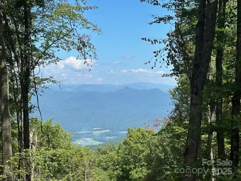 00 Falls View Drive #70