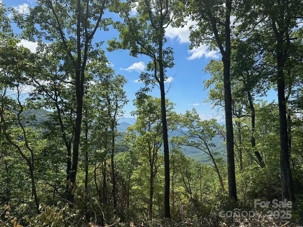00 Falls View Drive #70 Bryson City, NC 28713
