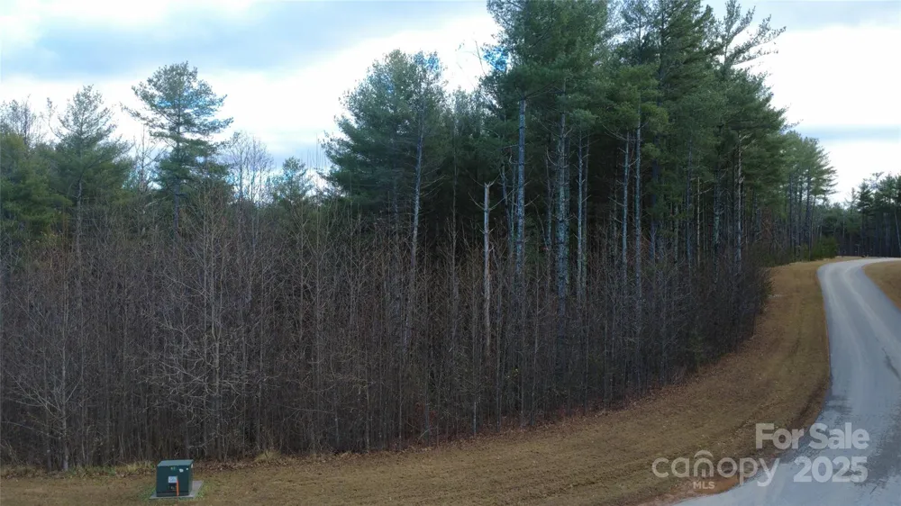 597 Peninsula Reserve Road #34 Nebo, NC 28761