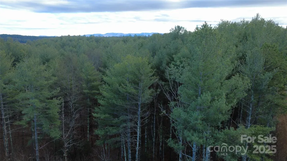 597 Peninsula Reserve Road #34 Nebo, NC 28761