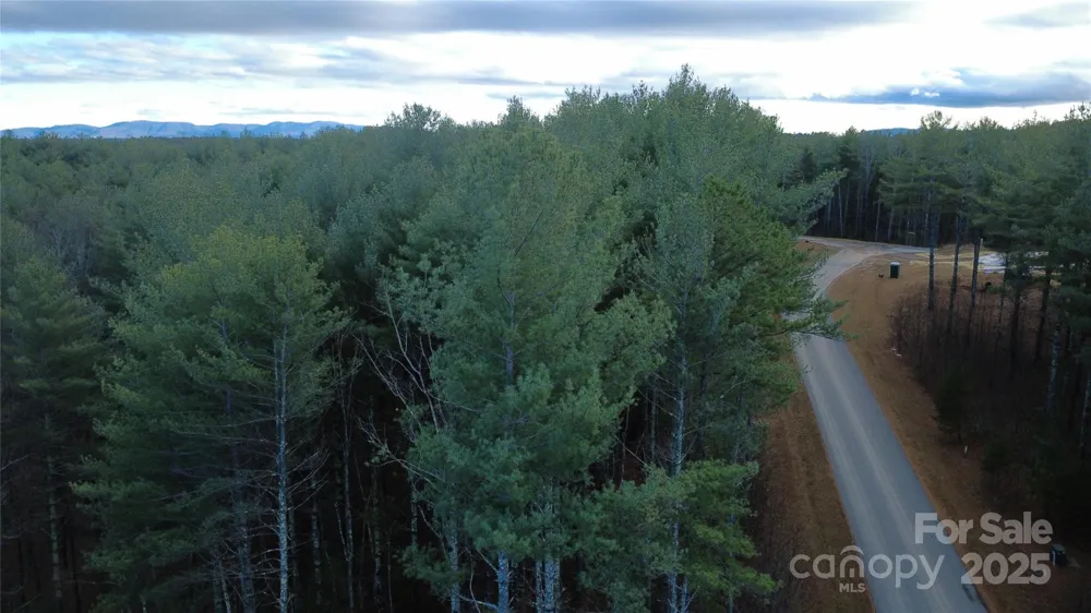 597 Peninsula Reserve Road #34 Nebo, NC 28761