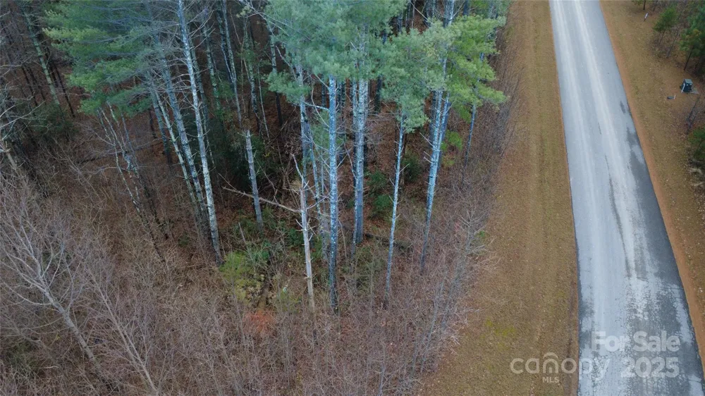 597 Peninsula Reserve Road #34 Nebo, NC 28761