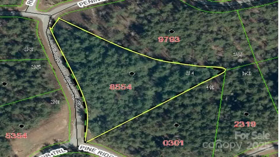597 Peninsula Reserve Road #34 Nebo, NC 28761