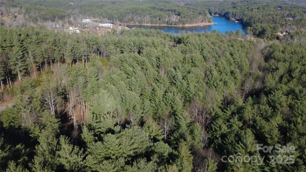 597 Peninsula Reserve Road #34 Nebo, NC 28761