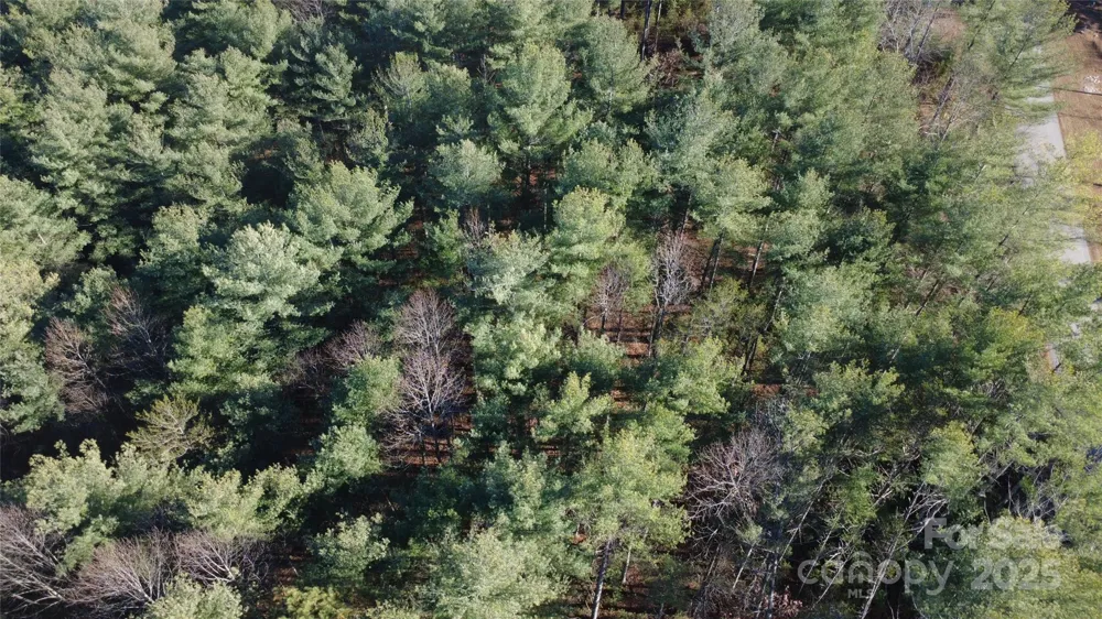 597 Peninsula Reserve Road #34 Nebo, NC 28761