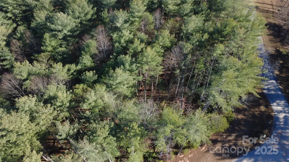 597 Peninsula Reserve Road #34 Nebo, NC 28761