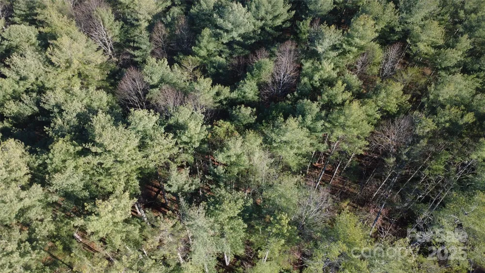 597 Peninsula Reserve Road #34 Nebo, NC 28761