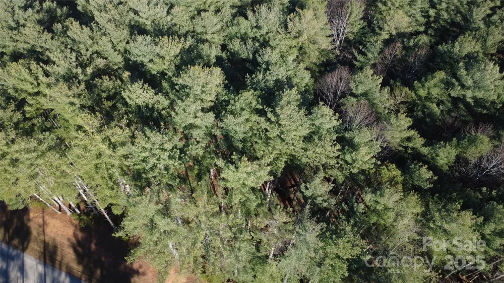 597 Peninsula Reserve Road #34 Nebo, NC 28761