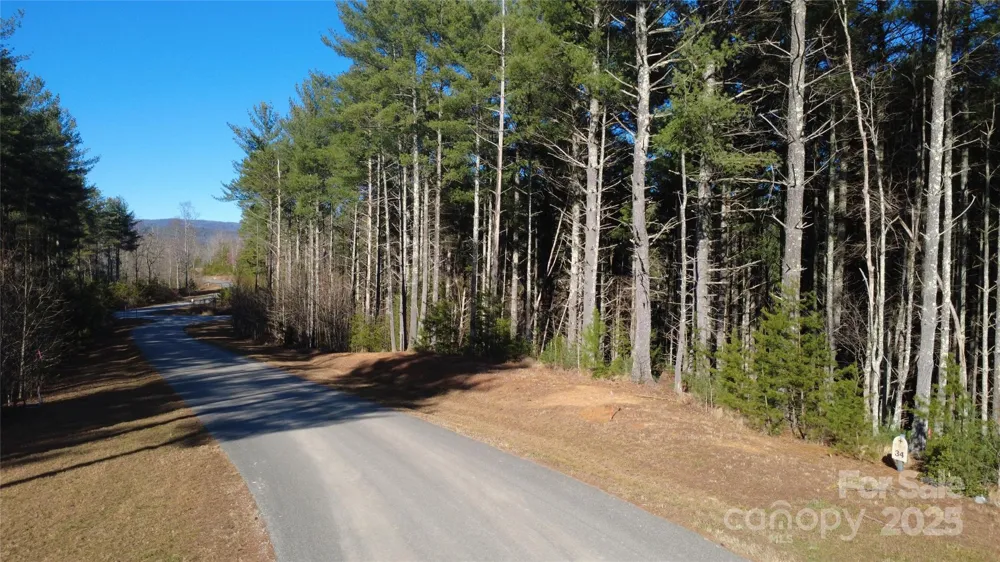 597 Peninsula Reserve Road #34 Nebo, NC 28761