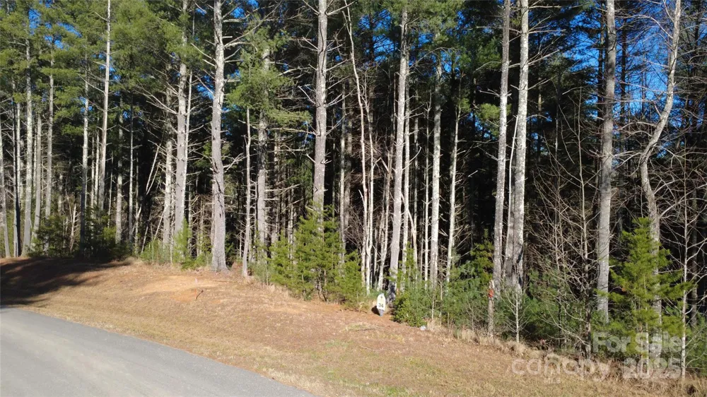 597 Peninsula Reserve Road #34 Nebo, NC 28761