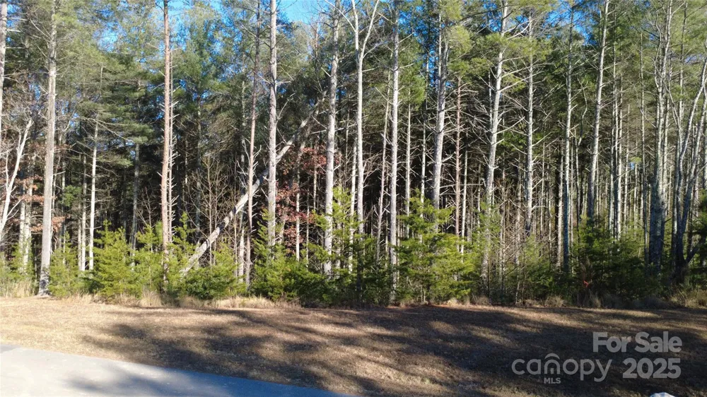 597 Peninsula Reserve Road #34 Nebo, NC 28761