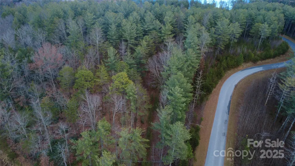 597 Peninsula Reserve Road #34 Nebo, NC 28761