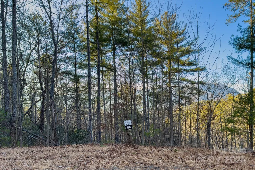 LOT #84 Little Fox Run Marion, NC 28752