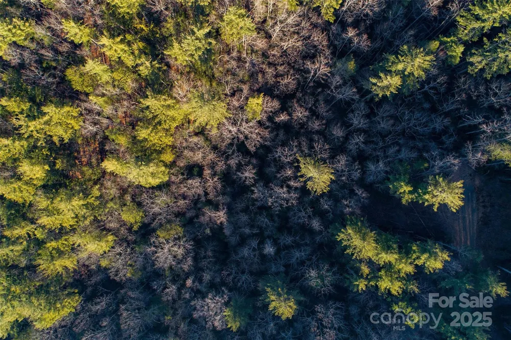 LOT #84 Little Fox Run Marion, NC 28752