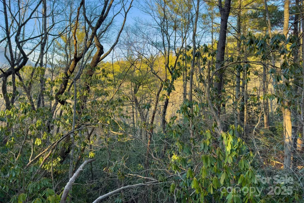 LOT #84 Little Fox Run Marion, NC 28752
