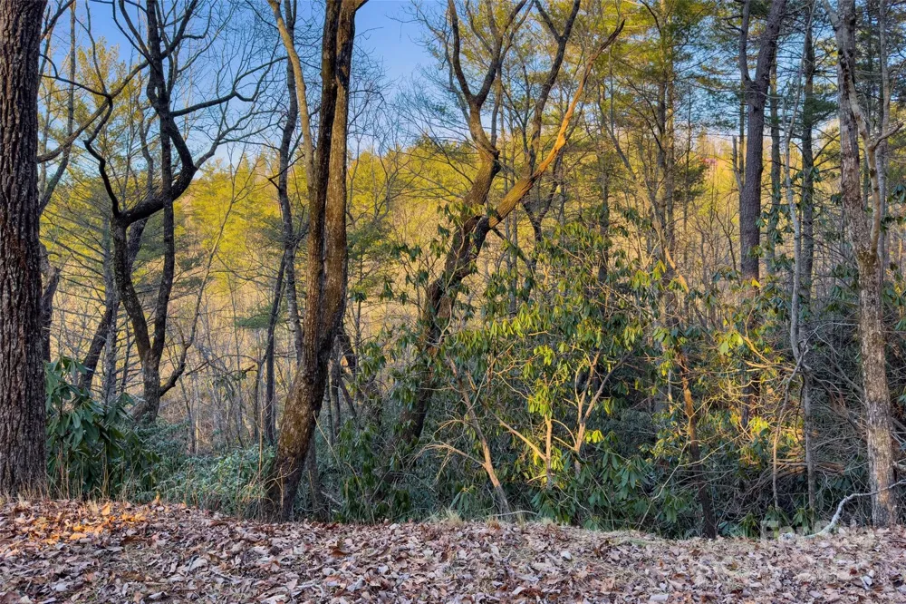 LOT #84 Little Fox Run Marion, NC 28752