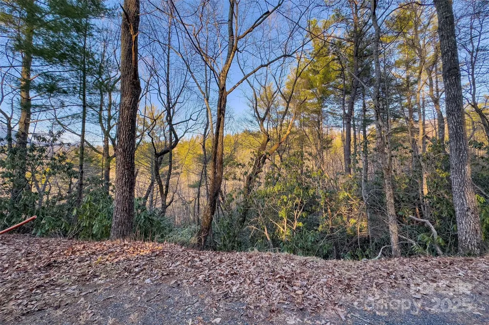 LOT #84 Little Fox Run Marion, NC 28752