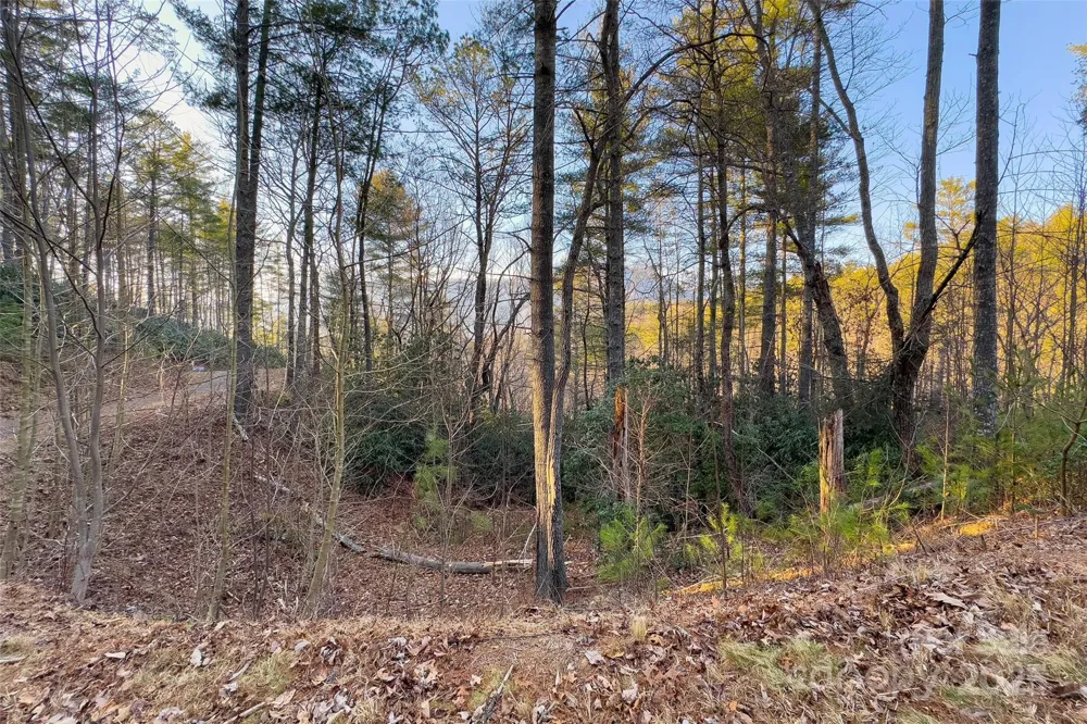 LOT #84 Little Fox Run Marion, NC 28752