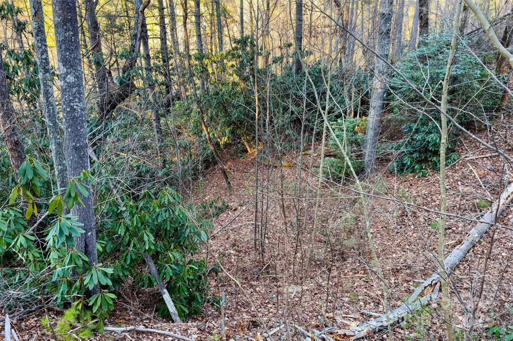 LOT #84 Little Fox Run Marion, NC 28752